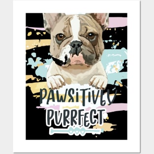 Whimsical Watercolors: Pawsitively Purrfect Posters and Art